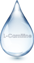 L Carnitine